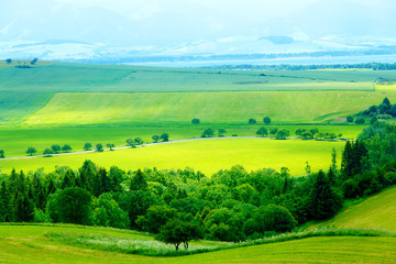Fototapeta na wymiar Road in a beautiful land with meadows. Slovakia, Central Europe.