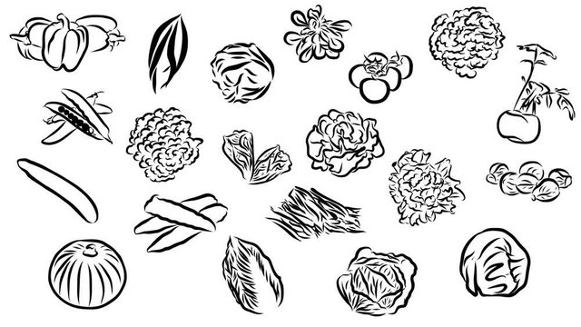 vegetables Sketch Animated Lineart