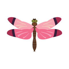 dragonfly pink on white background text
