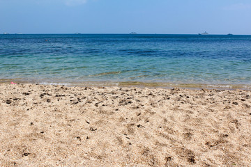 Fototapeta na wymiar Summer beach of the Black Sea