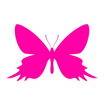 Exotic butterfly vector icon