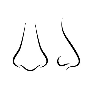 Nose Drawing Workbook (PDF) - JeyRam Drawing Tutorials