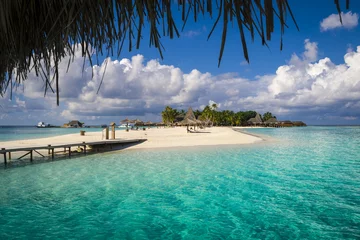 Fototapete Insel An island from Maldives