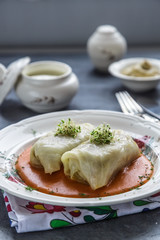 Cabbage roll, golubtsi in ceramic bowl on dark background, traditional Ukrainian cuisine