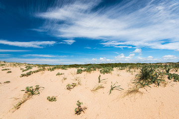 Dunes in natural reserve Zahara de los Atunes, Spain