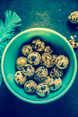 Quail eggs in pastel bowl on dark background, Easter concept.