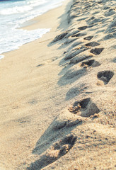 Footprints on the beach sand