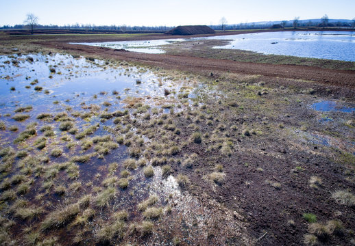 Rekultivierung von Mooren, wiedervern&auml;sster Bereich eines Torfabbaugebietes