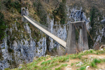 Holtzarte suspension bridge, Aquitaine, France