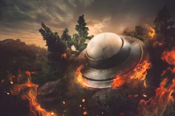 Gartenposter brennendes abgestürztes UFO in einem Wald in der Abenddämmerung © fergregory