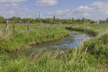 An der Lesum in Bremen © florittnd