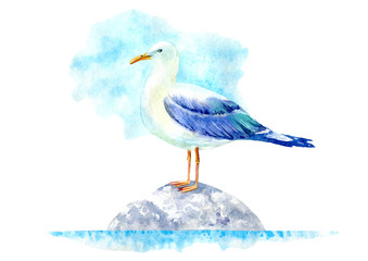 Naklejka premium Seagull on a stone. Marine landscape. Watercolor hand drawn illustration. White background.