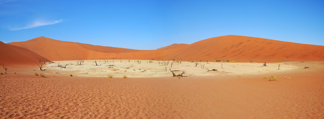 Deadvlei