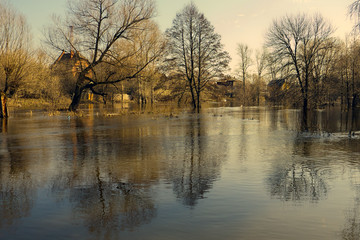 Spring flood in the village with trees