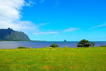 ハワイの東海岸の風景
