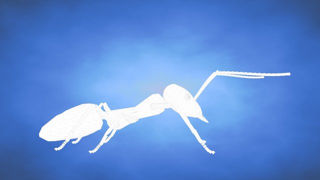 outlined 3d rendering of an ant inside a blue studio