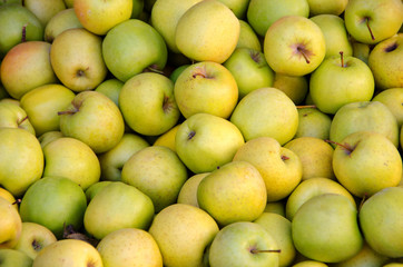 Golden apples in grocery market