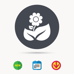 Obraz premium Flower icon. Florist plant with leaf symbol. Calendar, download arrow and new tag signs. Colored flat web icons. Vector