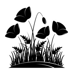 corn poppies © Beta757