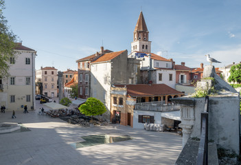 Amazing Zadar, Croatia - obrazy, fototapety, plakaty