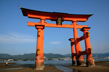 Torii
