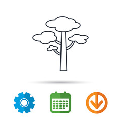 Pine tree icon. Forest wood sign. Nature environment symbol. Calendar, cogwheel and download arrow signs. Colored flat web icons. Vector