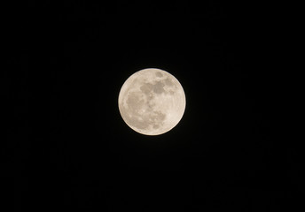 Full moon on the dark night,Moon. 