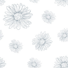 Daisy seamless pattern on white