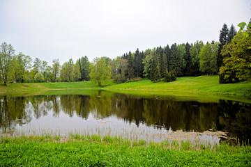 The idyllic landscape of forest and lakes. The view of nature summer calm and beautiful. Panorama of green trees with clean water.