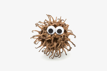 real lovely monster with googly eyes on white background