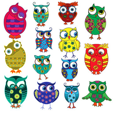 Fourteen cartoon funny owls