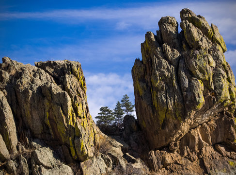The Pines Beyond The Rocks. / A view of three pine trees off in the distance between two large rock out croppings covered in brightly colored lichen in the Rocky Mountains of Colorado .