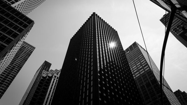 Bottom view at skyscrapers, intersection and traffic lights in black and white