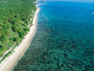 Fototapeta na wymiar beach with sea and palm taken from drone