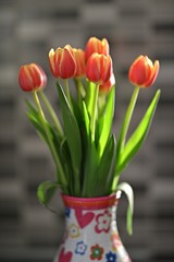 tulipes