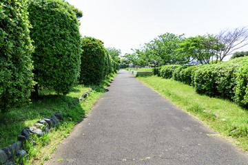 Fototapeta na wymiar 富浦公園　横須賀　長井