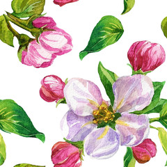 Watercolor seamless pattern. Flowers on a blossoming branch in the spring.