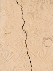 Historische Sandsteinwand