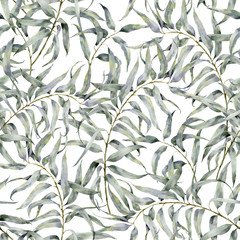 Watercolor floral pattern with eucalyptus branch. Hand painted ornament with exotic leaves isolated on white background. For design or print