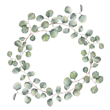 Watercolor wreath with silver dollar eucalyptus branch. Hand painted floral illustration with round leaves isolated on white background. For design or print