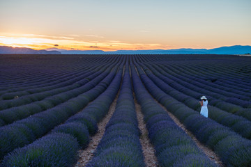 Naklejka na ściany i meble Woman in a Lavender field