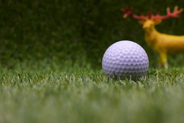 golf ball on green grass