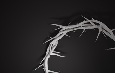 Close up Crown of Thorns 3D Rendering Empty Space Dark Background © natanaelginting