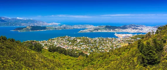 Fotobehang Location: New Zealand, capital city Wellington. View from the SkyLine track and Mount KayKay © skylynxdesign