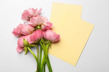 Beautiful ranunculus flowers and cards on white background