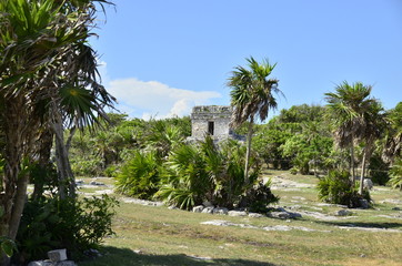 Fototapeta premium Mayan Ruins