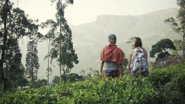 Couple of tourists taking pictures Tea plantation at sri lanka