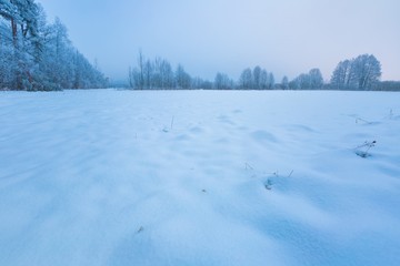 Obraz premium Winter foggy landscape in polish countryside
