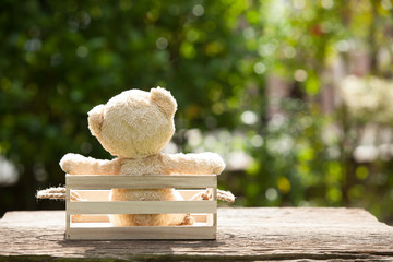 Close up lovely teddy bear in wooden box, Concept about loneliness or waiting for someone. With lens flare, Natural background