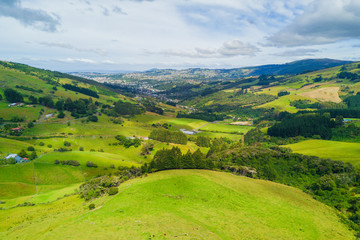 Fototapeta na wymiar Aerial Dunedin Town and Otago Bay, New Zealand